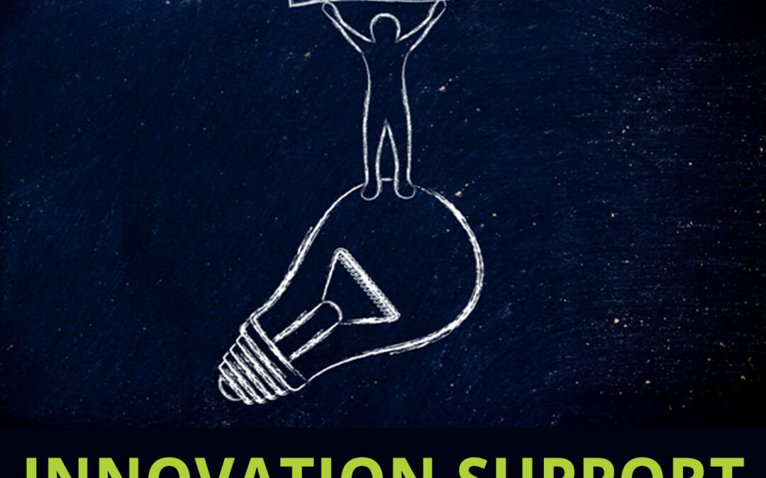 Do you need support innovating your business?