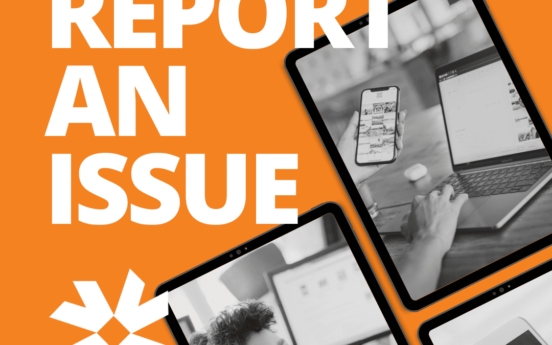 Web Report